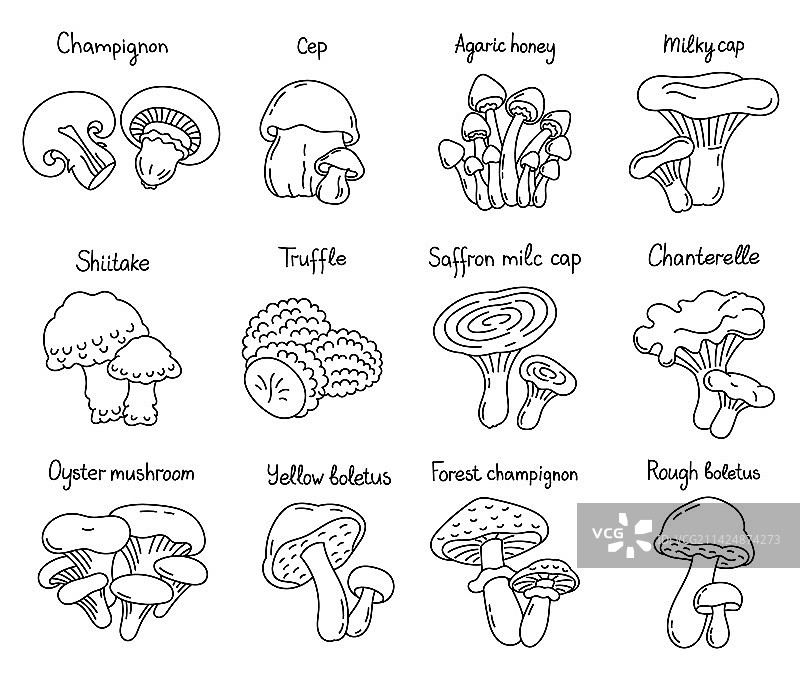 可编辑的食用蘑菇图标集图片素材