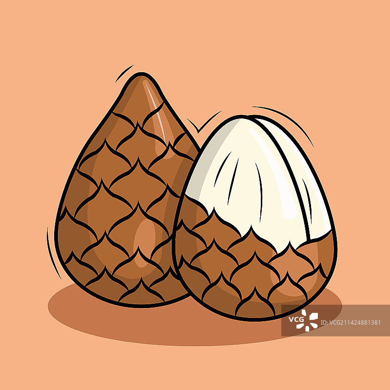 蛇皮果图片素材