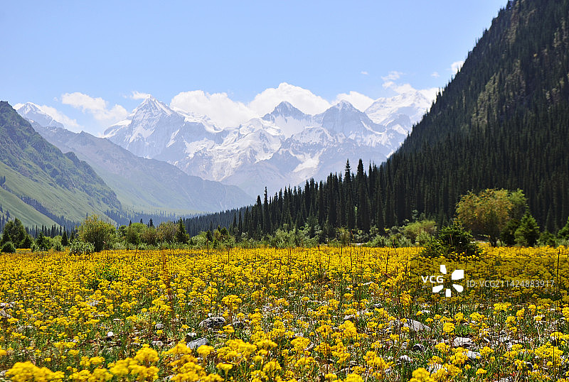 夏特古道图片素材