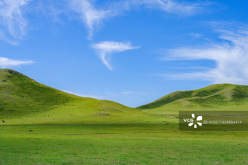 蓝天白云下的山顶草原图片素材