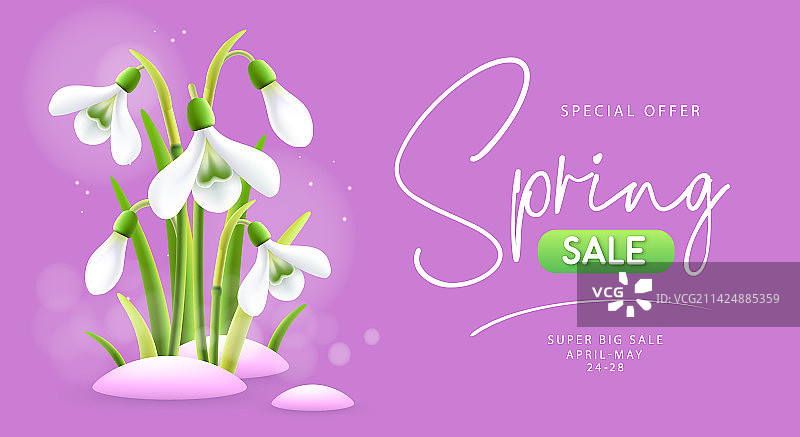 雪花莲盛开春季促销海报图片素材