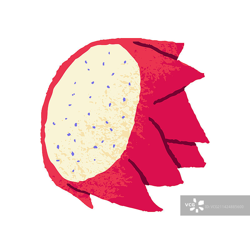 带籽的火龙果果肉切半图片素材
