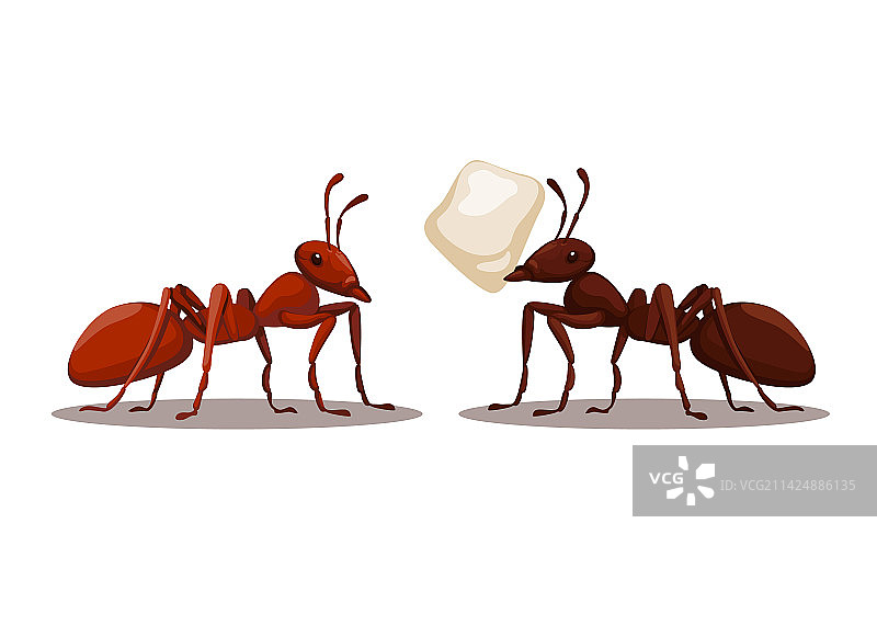 黑色和红色蚂蚁卡通形象图片素材
