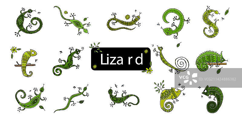 丛林动物变色龙图标图片素材