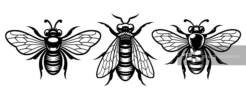 蜜蜂黑白画作合集图片素材
