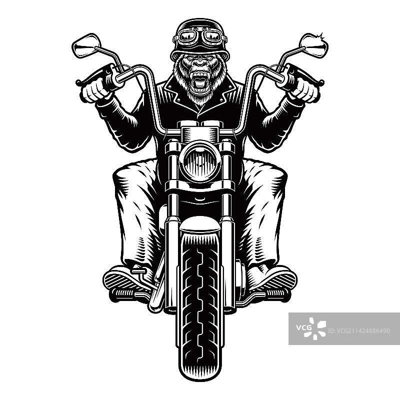 骑自行车的猩猩图片素材