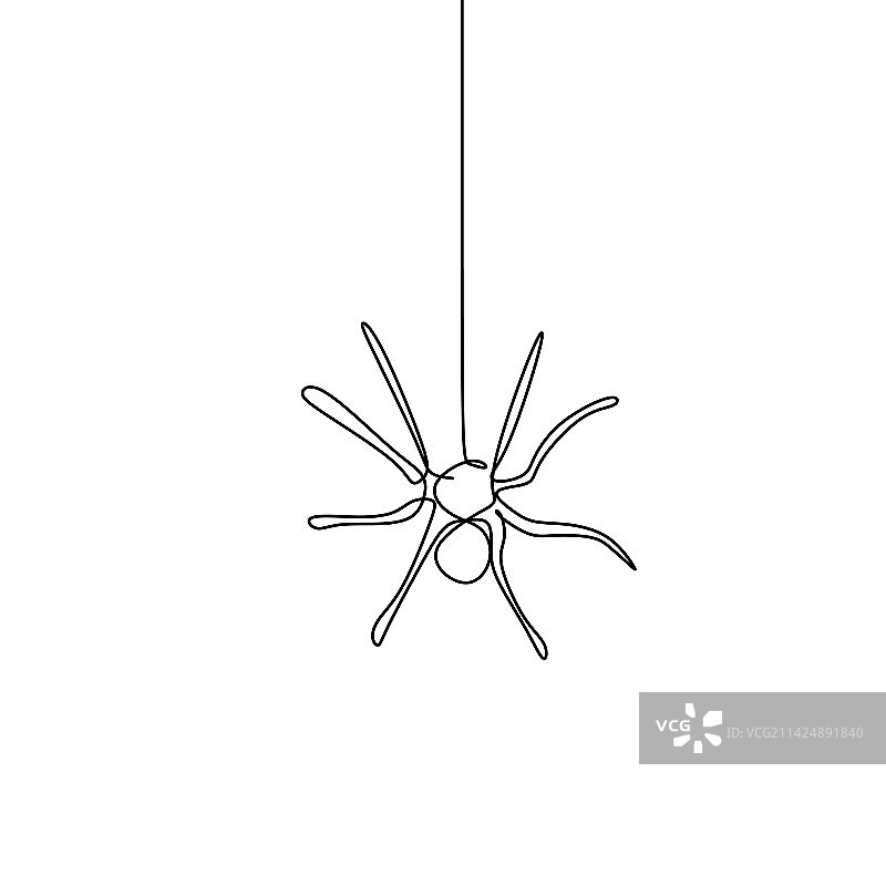 蜘蛛动物的连续线条画图片素材