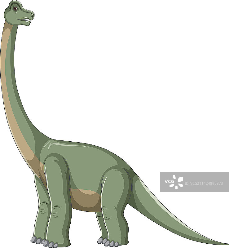 白色背景上的腕龙图片素材