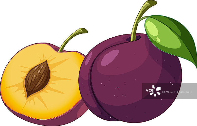 完整的和切开一半的李子图片素材