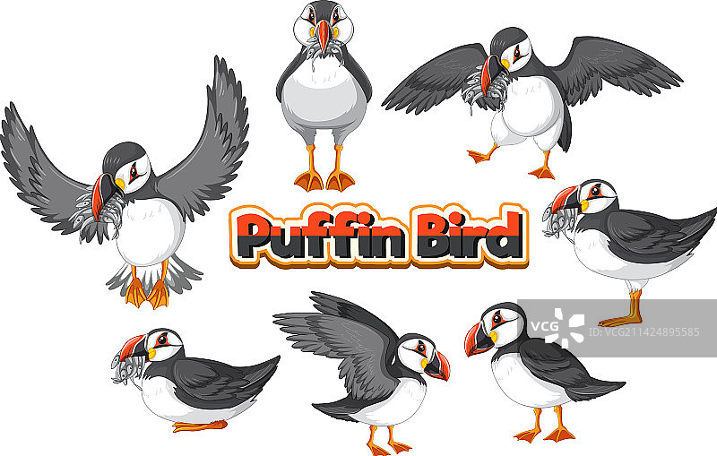 卡通海鹦鸟角色图片素材