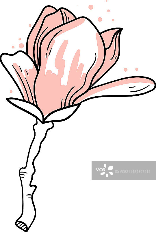 木兰花线稿现代艺术图片素材