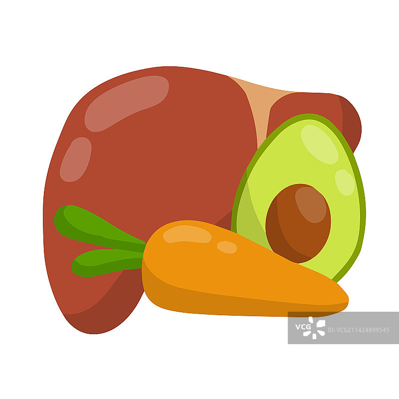 健康的肝脏与良好营养图片素材