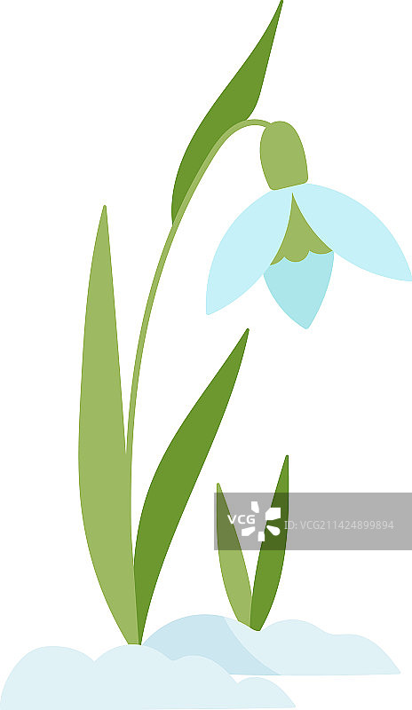 雪花莲扁平图标，含花茎和叶子图片素材