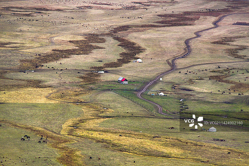 新疆 草原牧歌图片素材