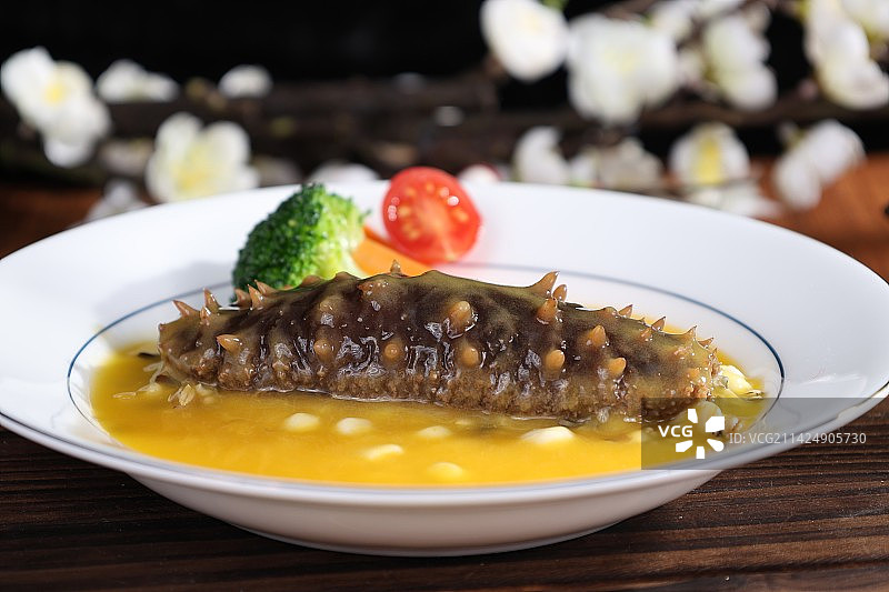 金汤海参图片素材