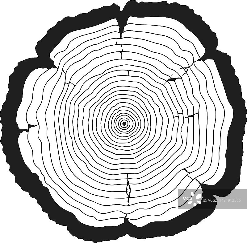 树木年轮木锯切割图片素材