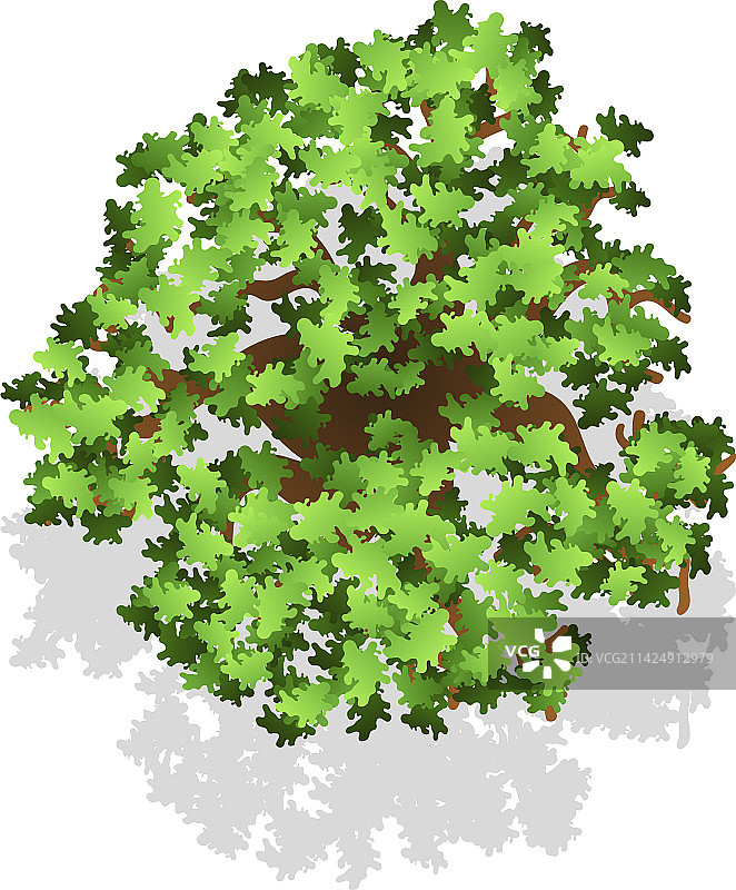 景观设计植物元素树木顶视图图片素材