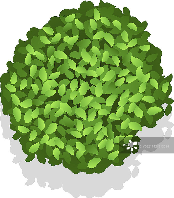 绿色的灌木树叶顶视图景观规划图片素材
