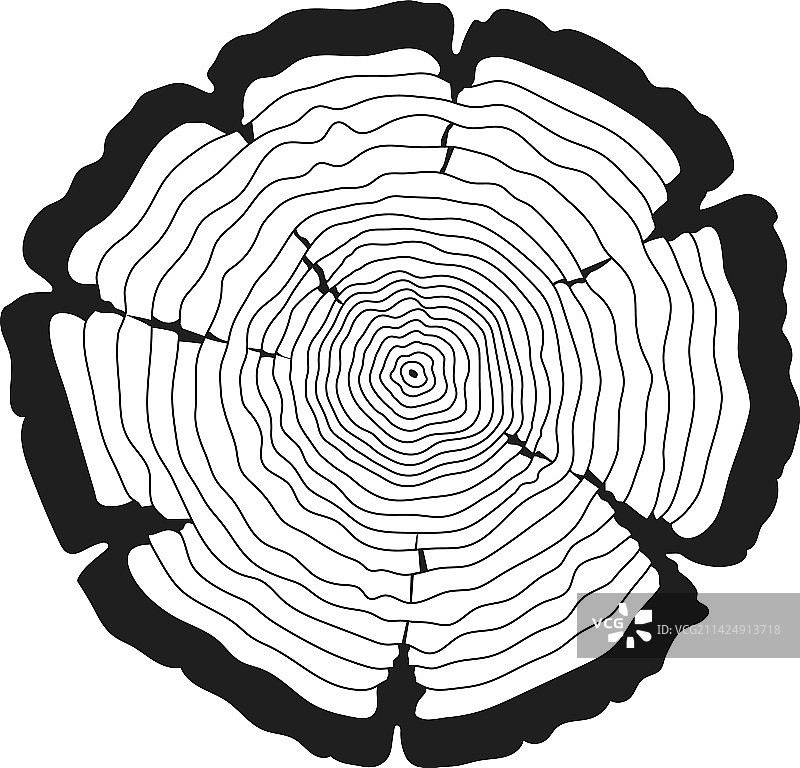 树干锯切同心线性年轮图片素材