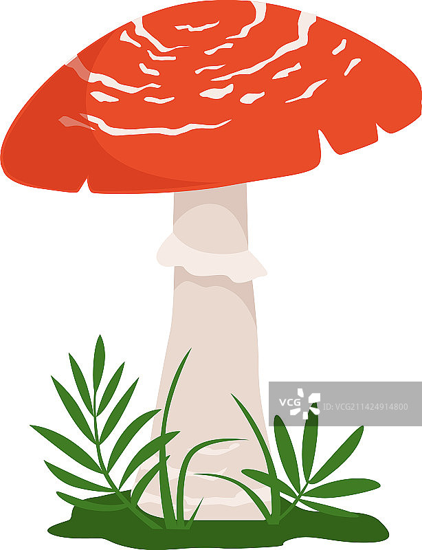 绿草地上的毒蝇伞图标图片素材