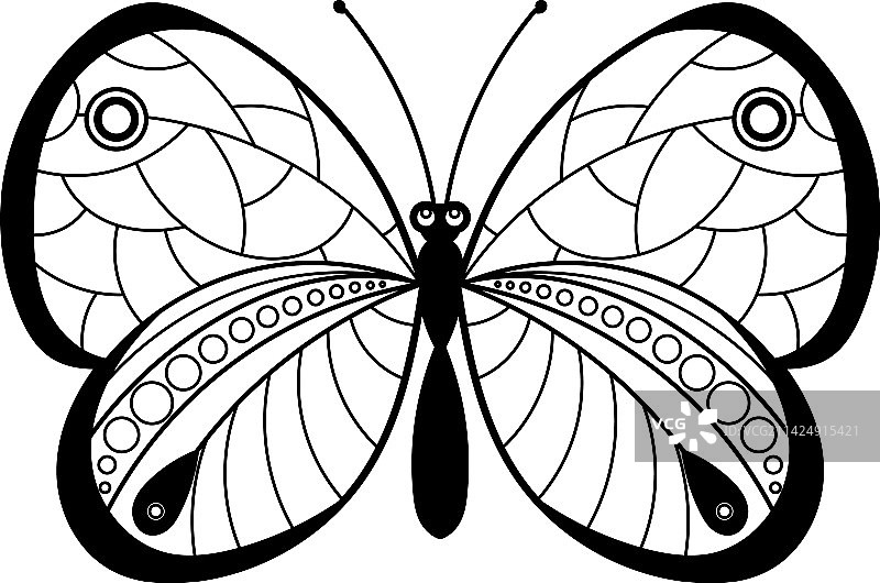 带有华丽翅膀的优雅蝴蝶黑蛾图片素材