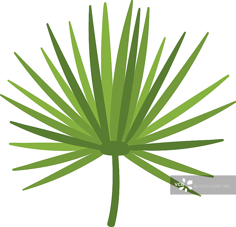 绿色热带树叶棕榈扇图标图片素材