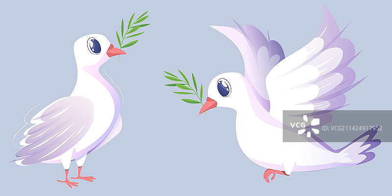 白色鸽子图片素材
