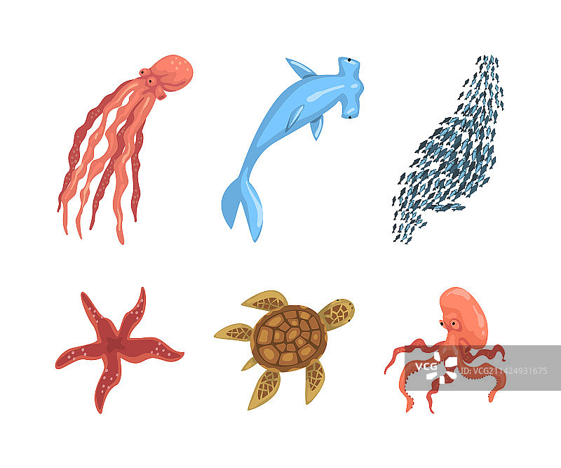 鱼和海洋哺乳动物海洋水下环境图片素材