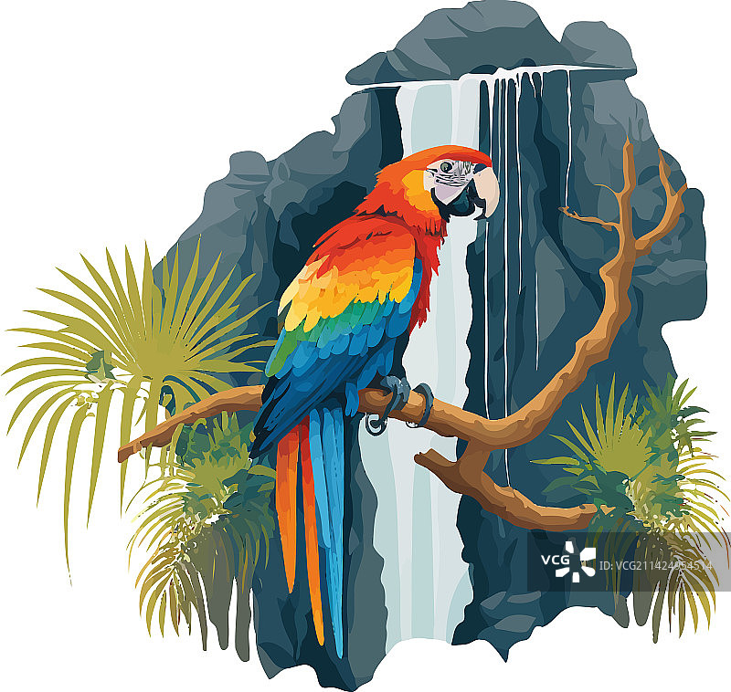 栖息在树枝上的金刚鹦鹉，背景是瀑布图片素材