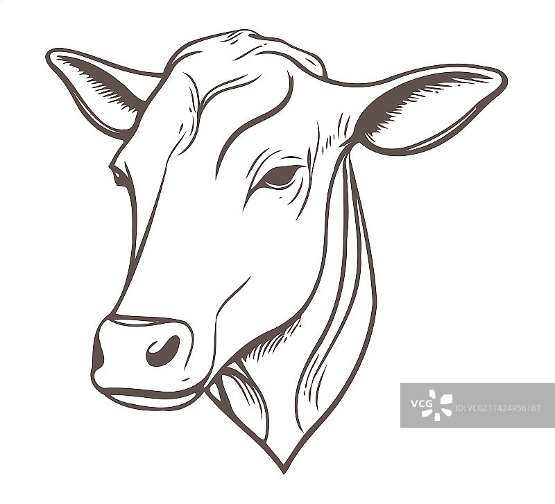 简约风奶牛线条艺术符号图片素材