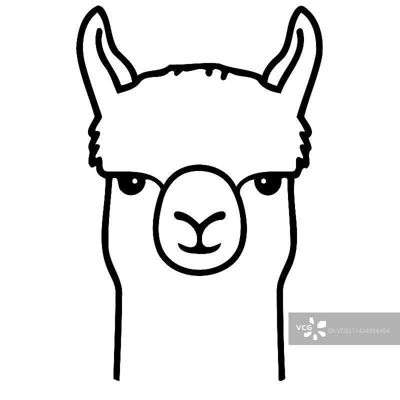 羊驼科动物头部图片素材