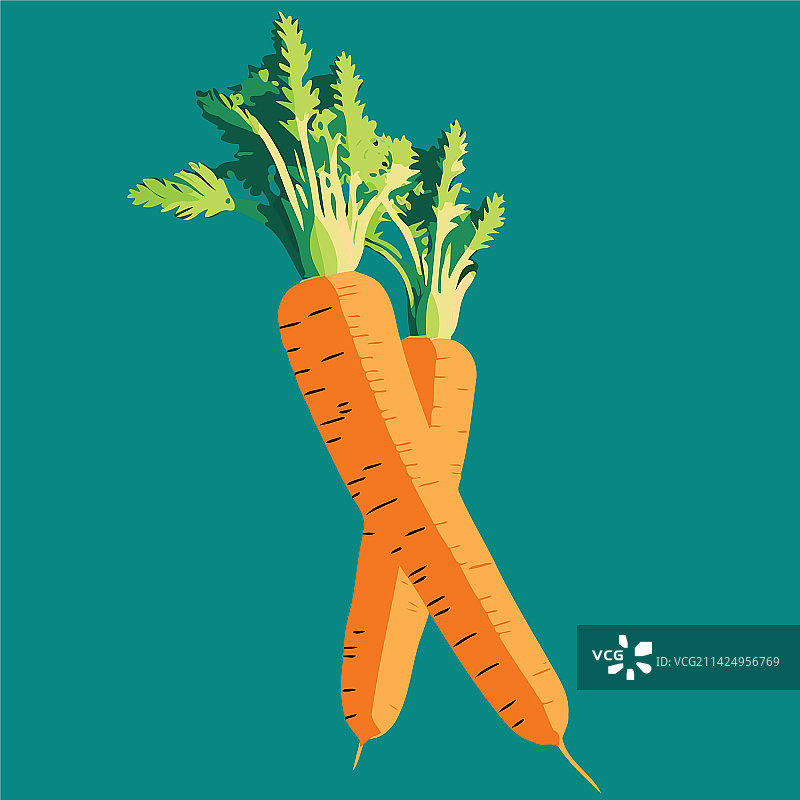 橙色胡萝卜根茎蔬菜图片素材