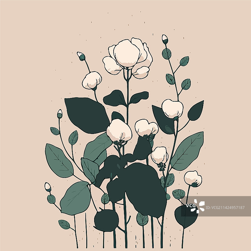 农场棉花种植图片素材