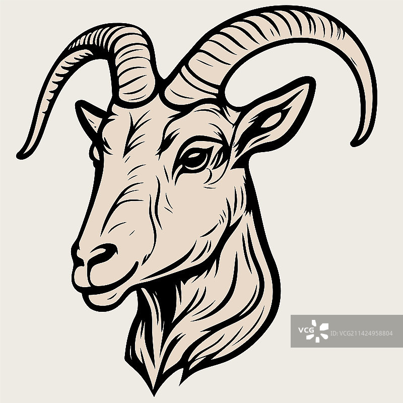 家山羊动物头像图片素材