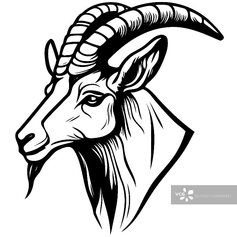 家山羊动物头像图片素材