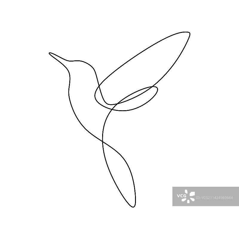 鸟类极简线条画设计图片素材