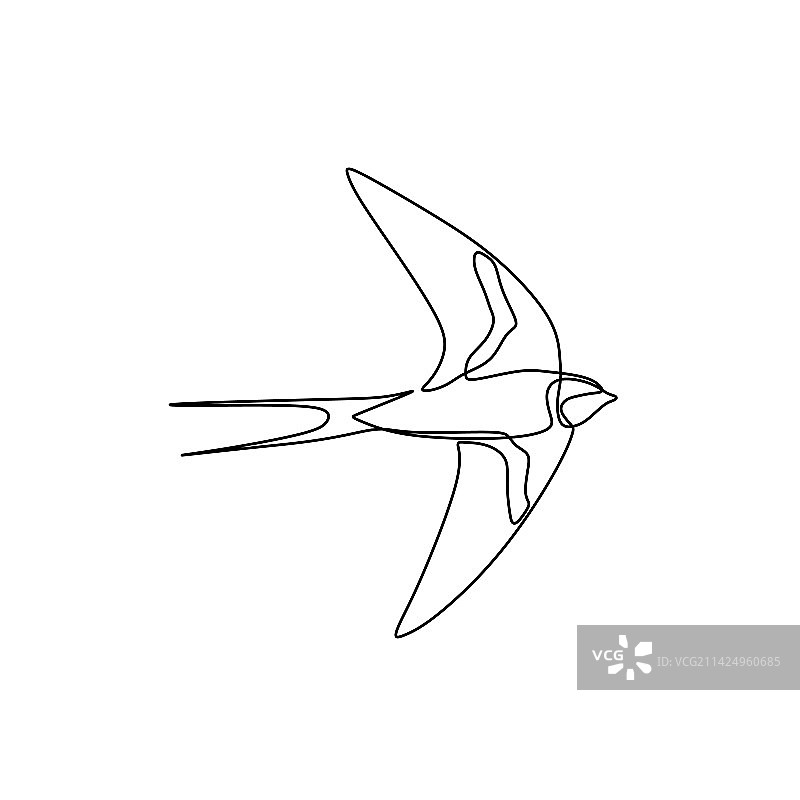 鸟类极简线条画设计图片素材