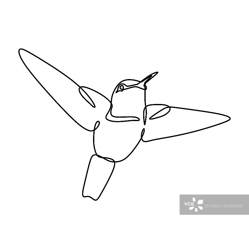 鸟类单线连续画图片素材