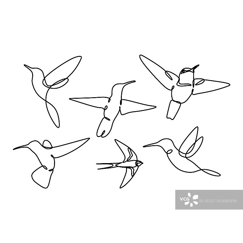 鸟类连续线条画集图片素材