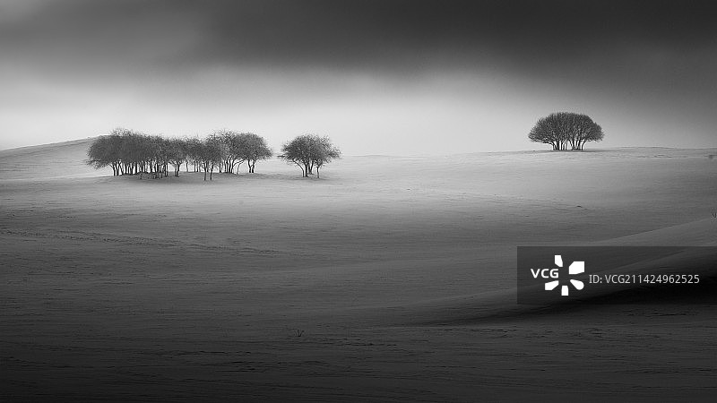 乌兰布统原野图片素材