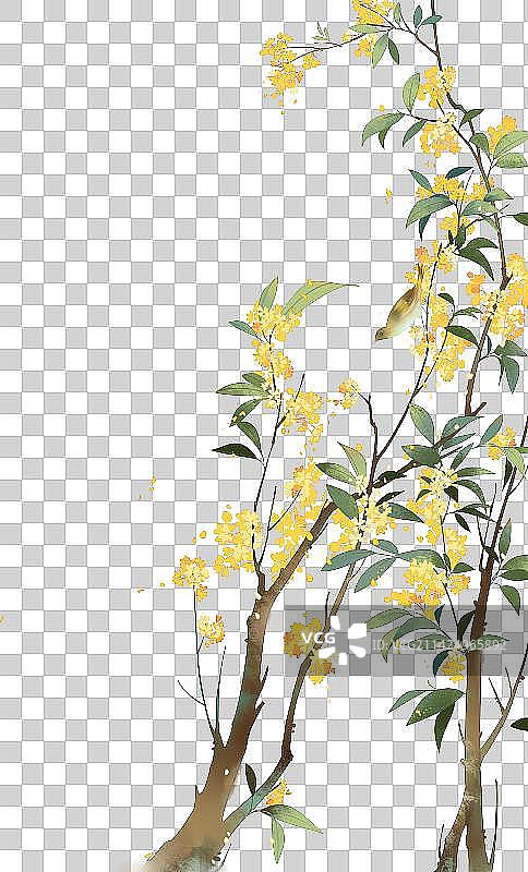 中国风花鸟装饰插画图片素材
