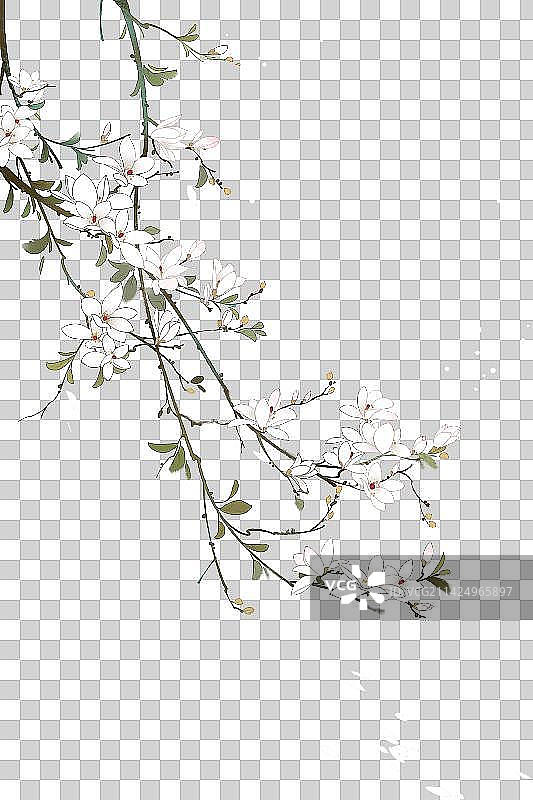 中国风花鸟装饰插画图片素材