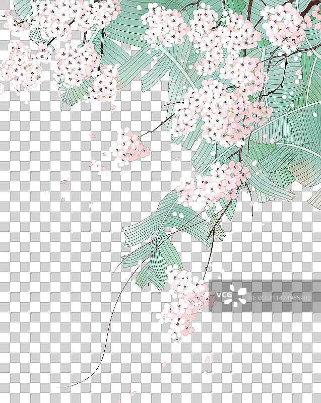 中国风花鸟装饰插画图片素材