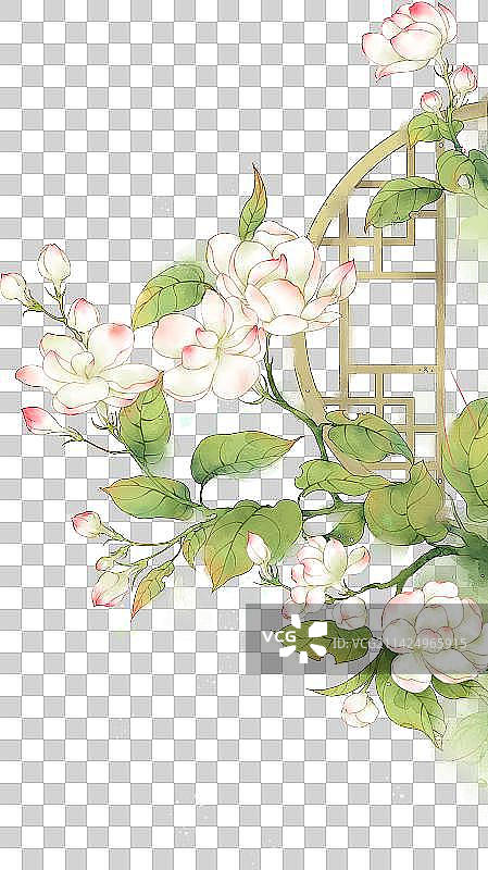中国风花鸟装饰插画图片素材