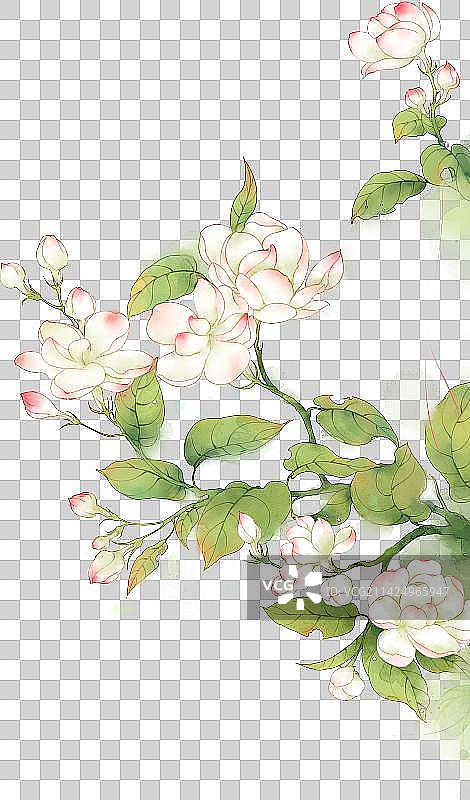 中国风花鸟装饰插画图片素材