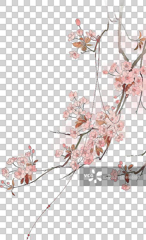 中国风花鸟装饰插画图片素材