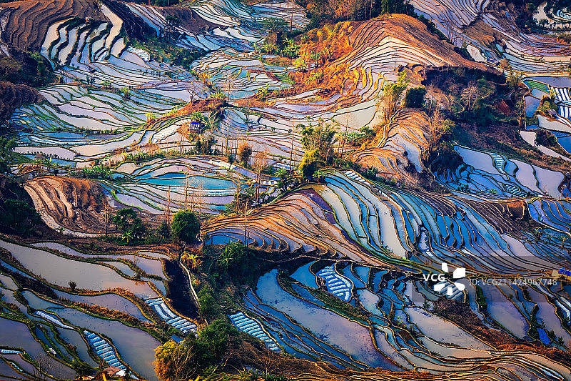 云南元阳老虎嘴梯田图片素材