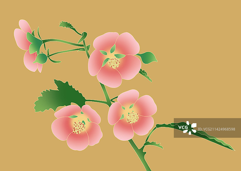 植物插画图片素材