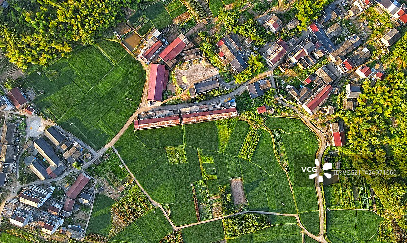 航拍视角下的房屋和农田图片素材