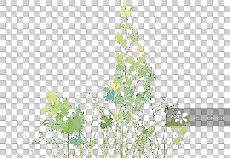 中国风清新手绘中草药植物素材图片素材